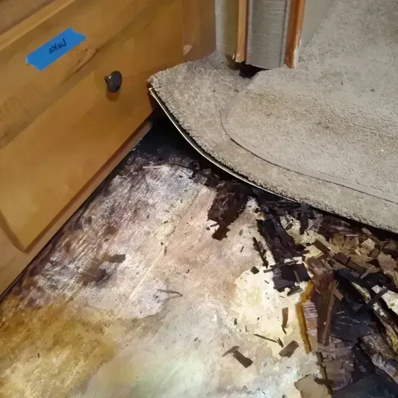 Wood Floor Water Damage in Huron, SD